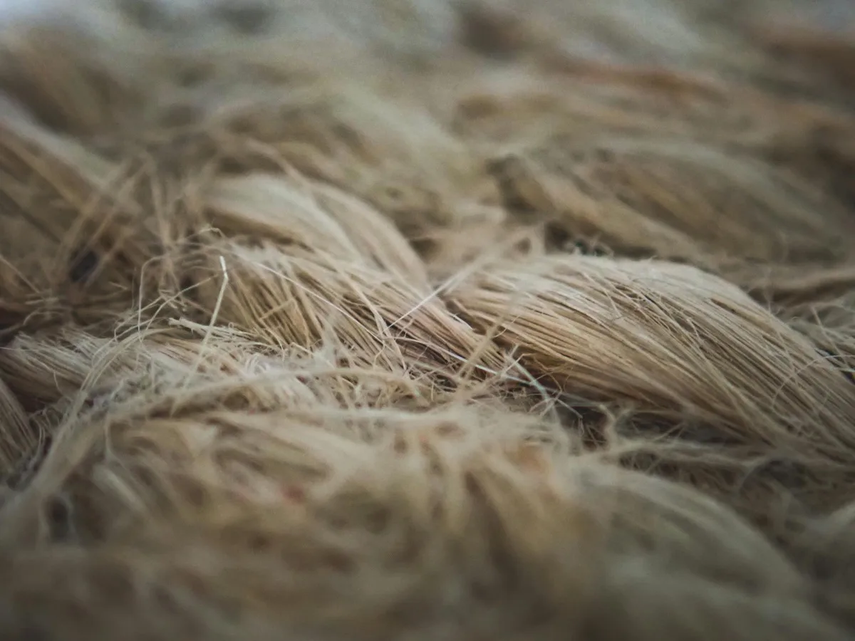 Building a Sustainable Wardrobe